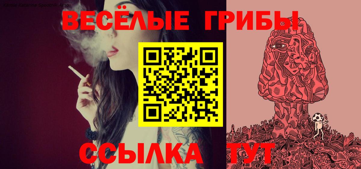 Галлюциногенные грибы Psilocybine cubensis Советский