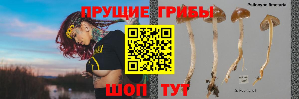 Галлюциногенные грибы мицелий  Галлюциногенные грибы Psilocybe  Вход с VPN  Советский 